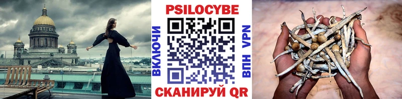 Галлюциногенные грибы GOLDEN TEACHER  Орск 