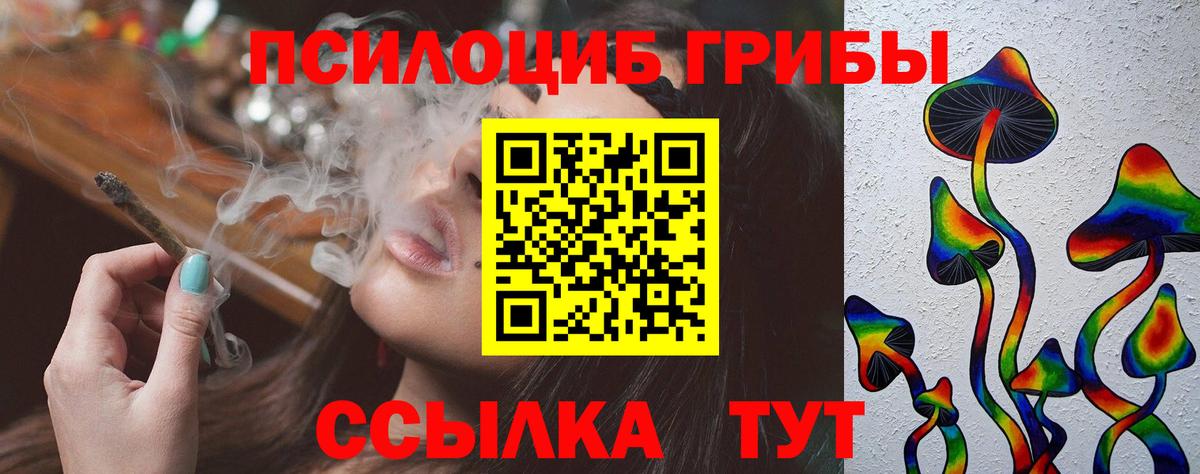 наркошоп  Псилоцибиновые грибы Psilocybine cubensis  Вход с VPN  Орск 